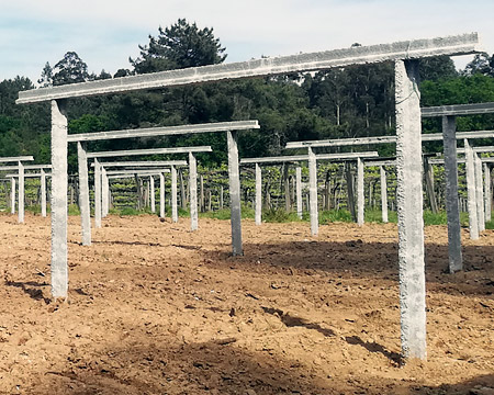 Instalación de viñedos